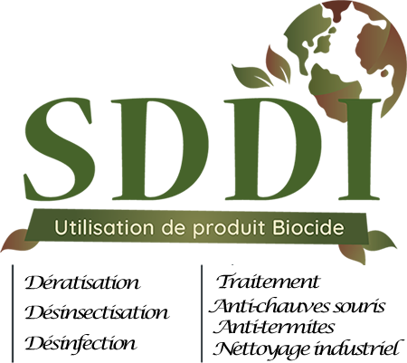SDDI